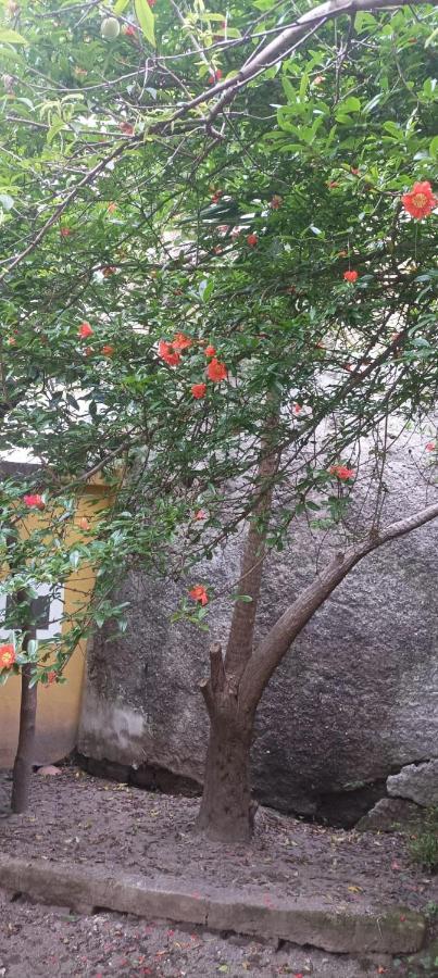 Il Giardino Nascosto Hotel เนเปิลส์ ภายนอก รูปภาพ