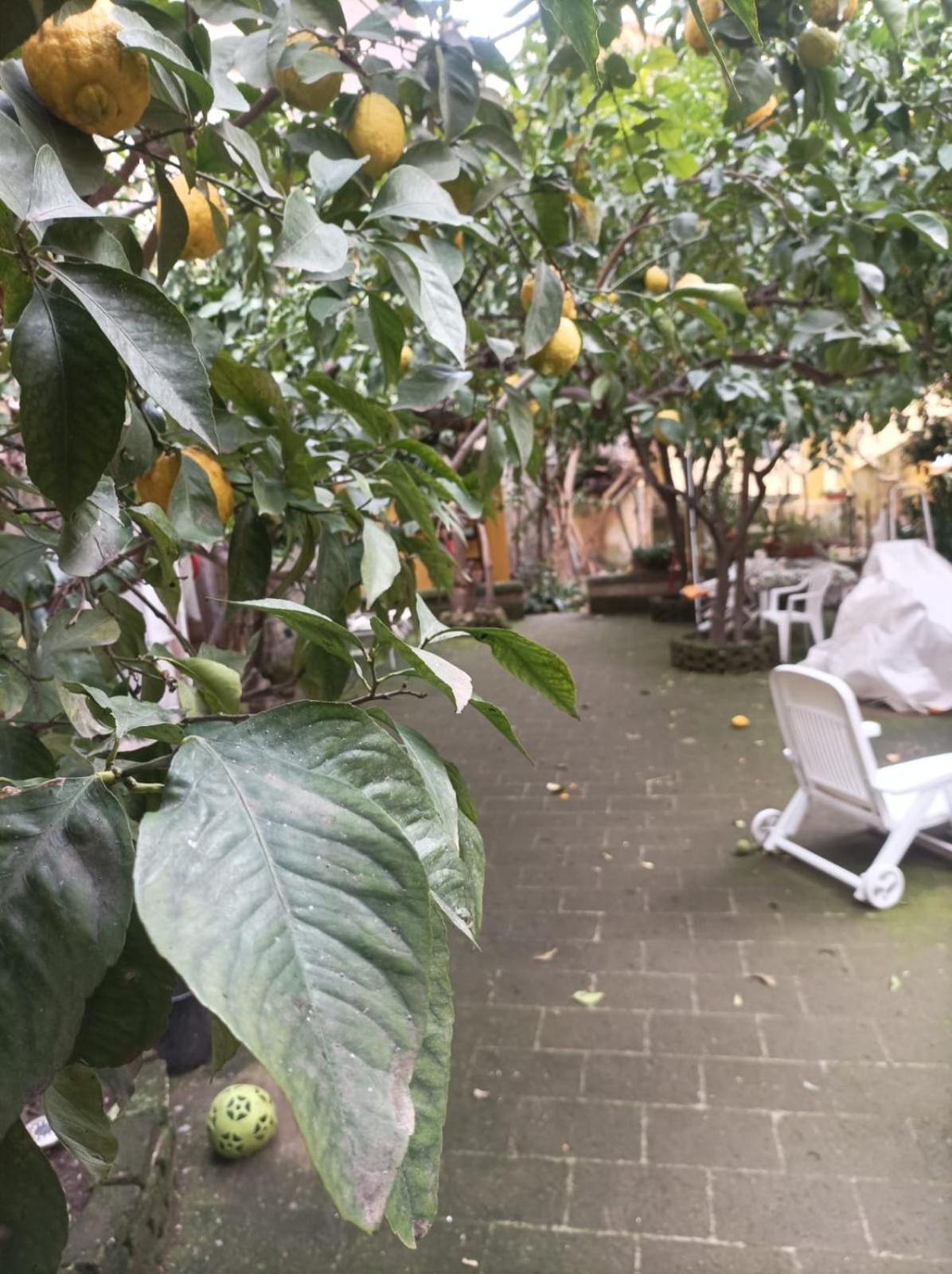 Il Giardino Nascosto Hotel เนเปิลส์ ภายนอก รูปภาพ